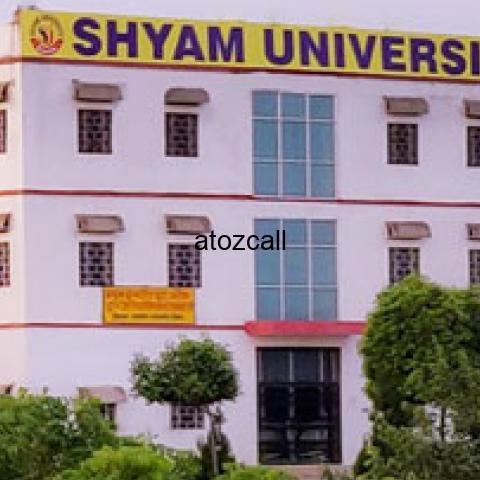 Shyam University